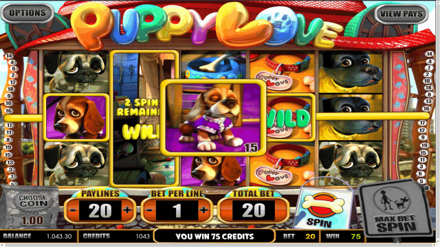 Бонусная игра Puppy Love 9